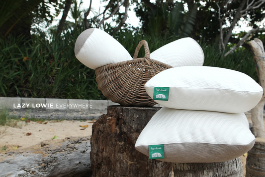 Lazy Lowie and the Future of Mattress Recycling in Indonesia